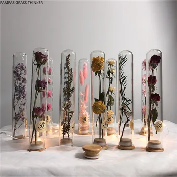 3pcs Skaidrų vamzdelį stiklo vaza su džiovintų gėlių, norinčių butelis drift butelis namų kambarį darbalaukio vaza apdaila