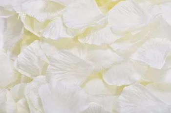 5,000 vnt 4.5*4.5 cm, Balta Rožė Gėlių Lapai, Žiedlapiai Už Vestuves Atostogų Vieta Apdailos Spalva-7
