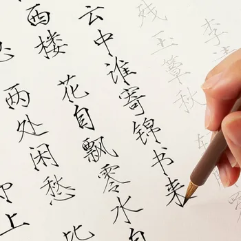 Kinijos Daina Huizong Kaligrafijos Teptuku Copybook Teptuku Pen Kaligrafija Copybook Shoujinti Kaligrafija Sekimo Copybook Tina Kinija