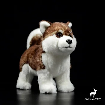 modeliavimo pliušinis žaislas šuo rudos haskis apie 26x24cm minkšta lėlė, vaikams, žaislas, apdailos gimtadienio dovana h0893